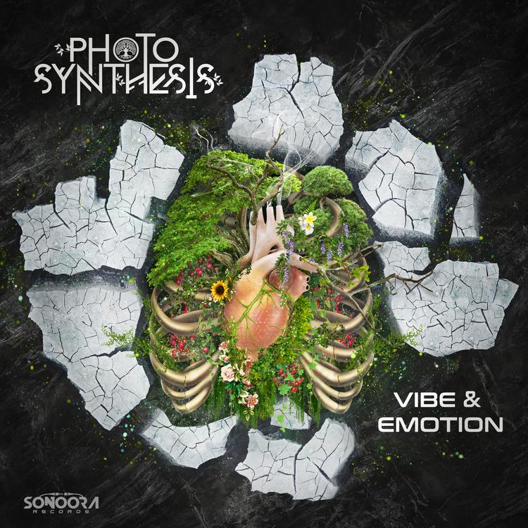 Photosynthesis's avatar image