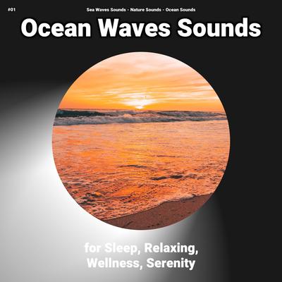 Sea Waves for Learning's cover