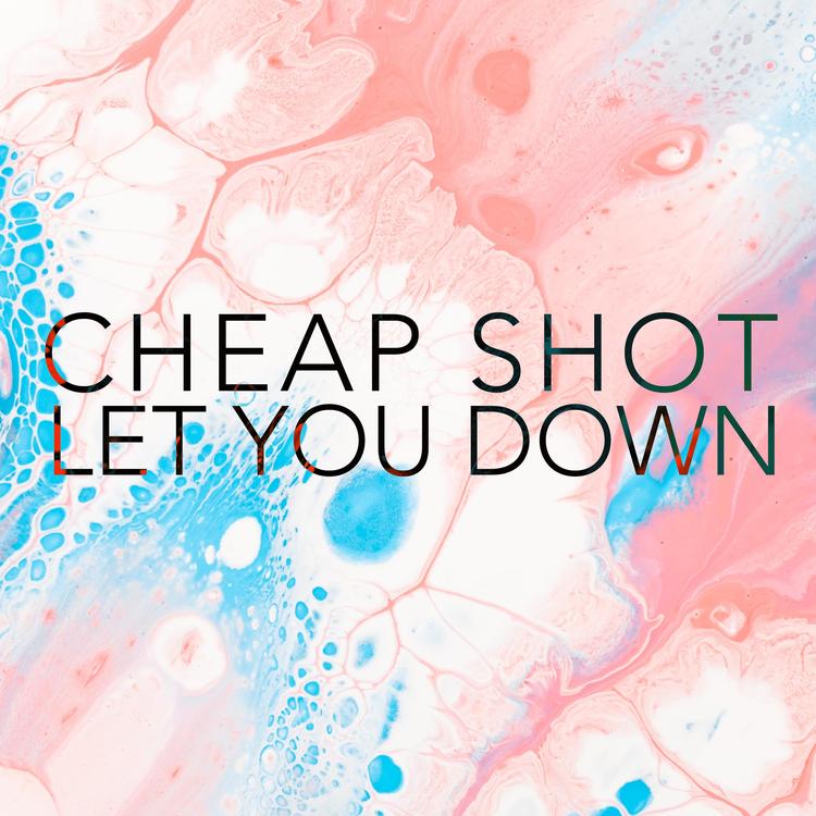 Cheap Shot's avatar image