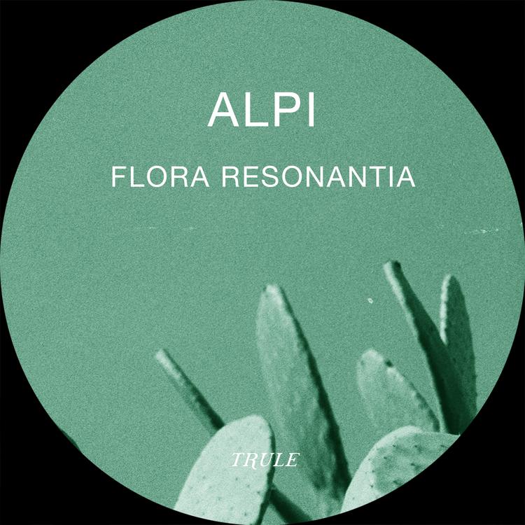 ALPI's avatar image