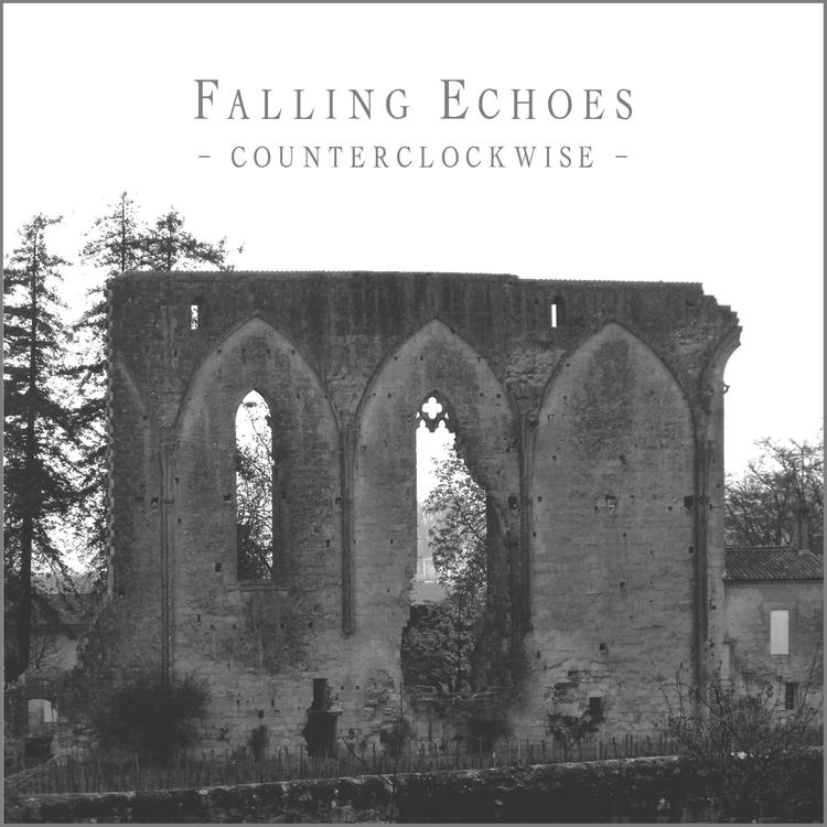 Falling Echoes's avatar image