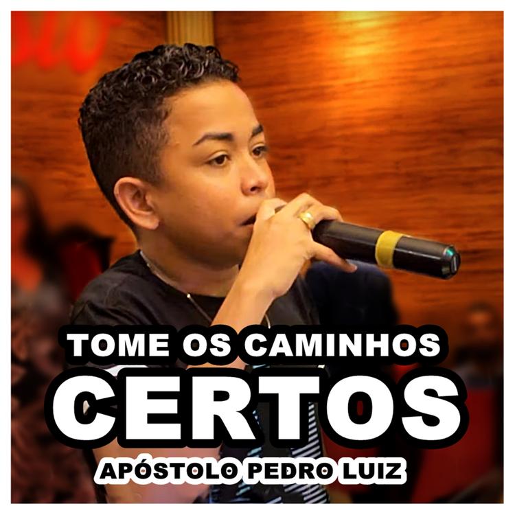 Apóstolo Pedro Luiz's avatar image