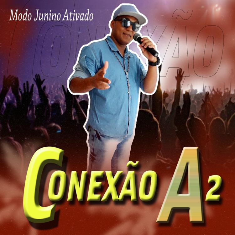 Conexão A 2's avatar image