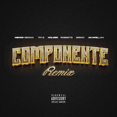 Componente (Remix)'s cover