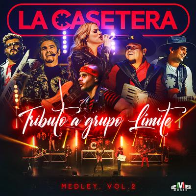 Tributo a Grupo Límite Medley, Vol. 2: Veneno / Solo Contigo / El Príncipe / Amiga Mía (En Vivo Desde Monterrey)'s cover