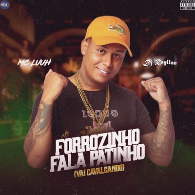 Forrozinho Fala Patinho (Vai Galopando)'s cover