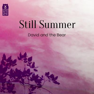 Still Summer By David and the Bear's cover