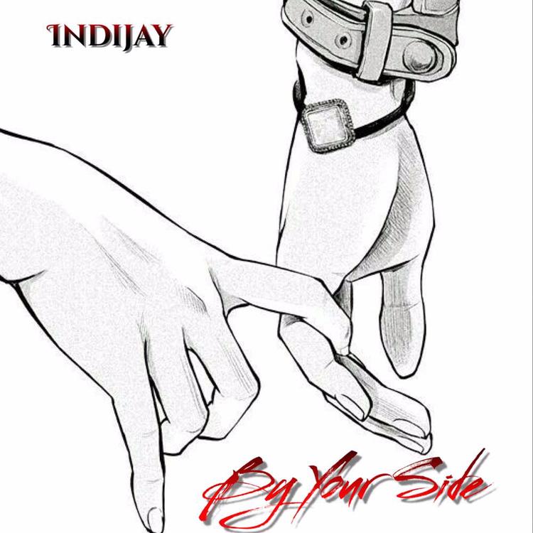 Indijay's avatar image