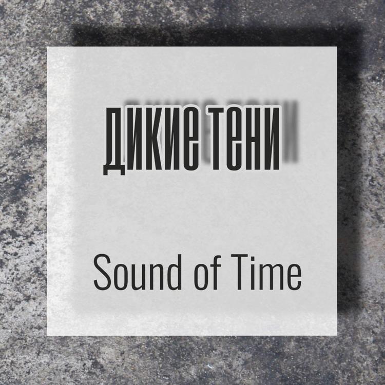 Sound of Time's avatar image