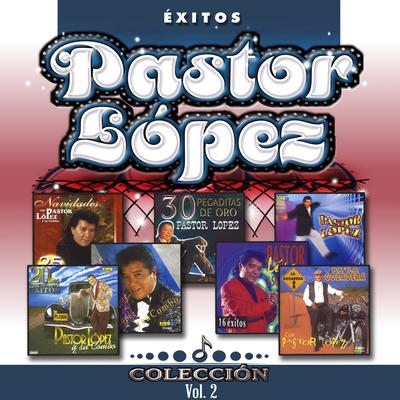 Saguate Cumbia By Pastor Lopez's cover