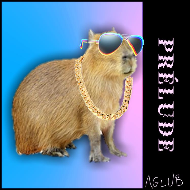 Aglub's avatar image