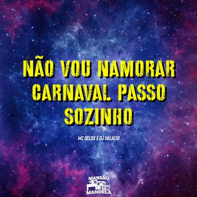 Não Vou Namorar Carnaval Passo Sozinho By Mc Delux, DJ Valacio's cover