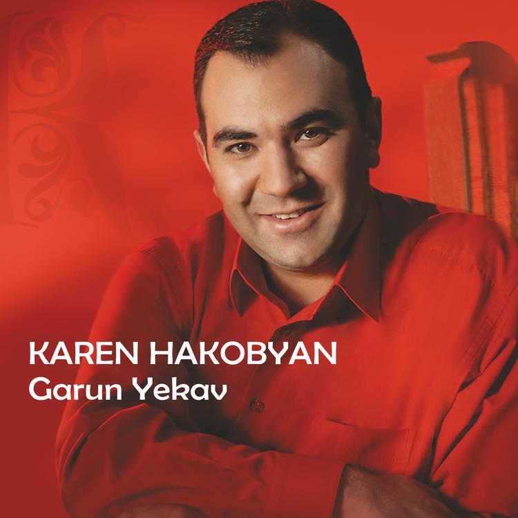 Karen Hakobyan's avatar image