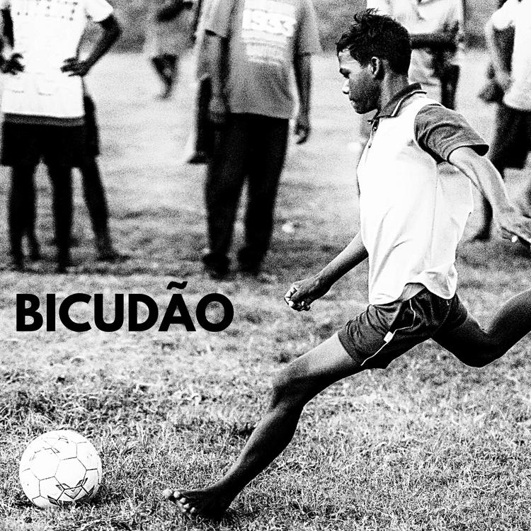 Bicudão's avatar image