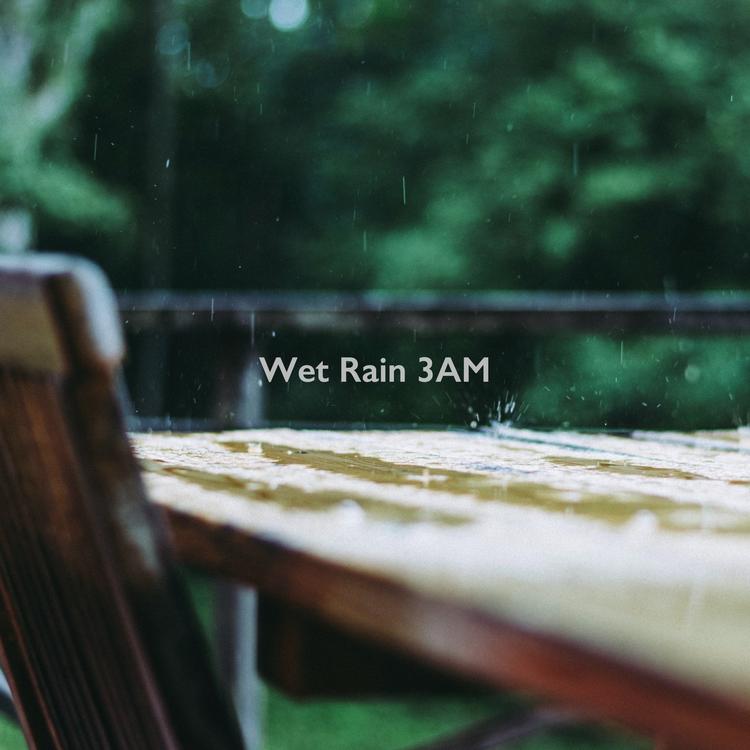 Wet Rain 3AM's avatar image