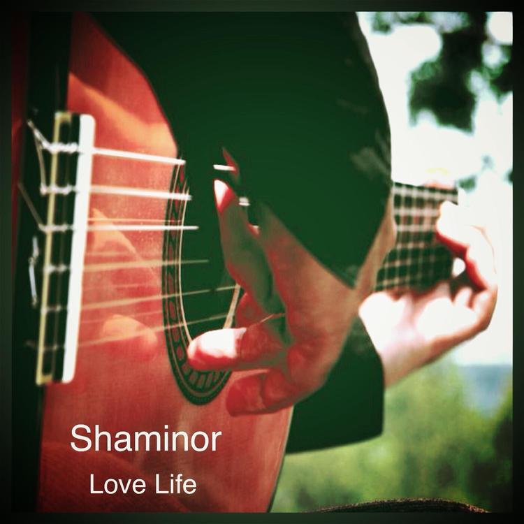 Shaminor's avatar image