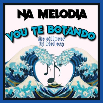 NA MELODIA VOU TE BOTANDO's cover