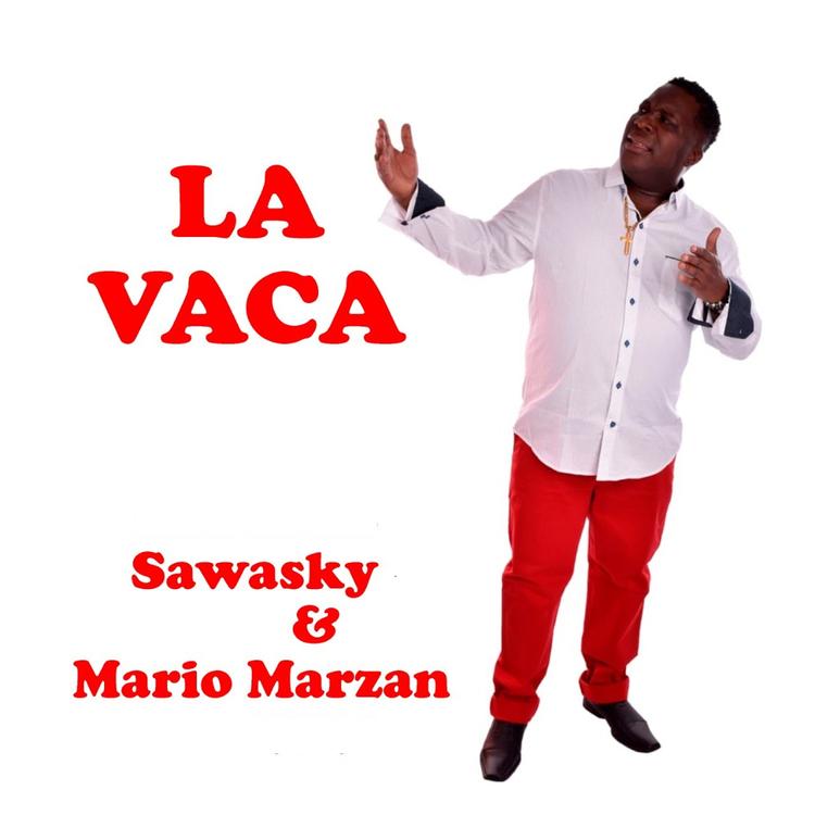 Sawasky's avatar image