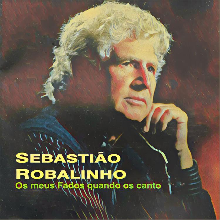 Sebastião Robalinho's avatar image