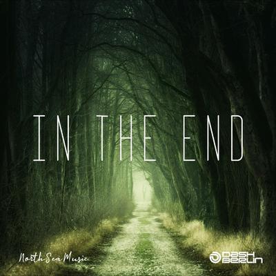 In The End (Extended Mix) By Dash Berlin's cover