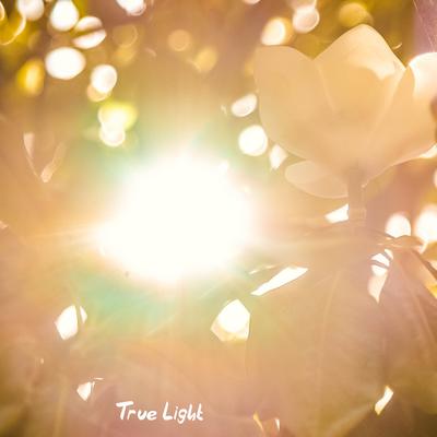 True Light By Equanimous, Florestella, Watashi's cover