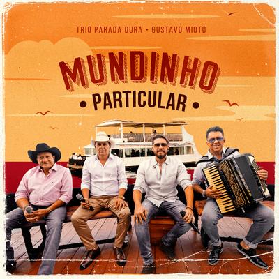 Mundinho Particular (Ao Vivo)'s cover