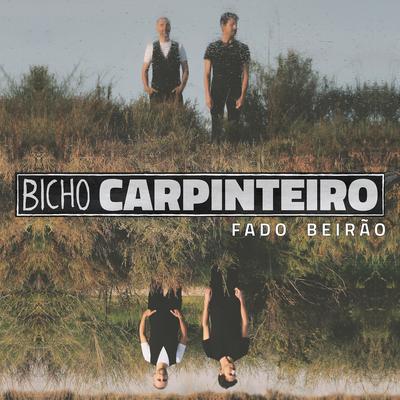 Bicho Carpinteiro's cover