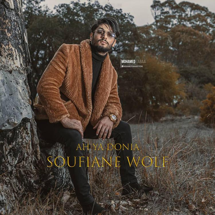 Soufiane Wolf's avatar image