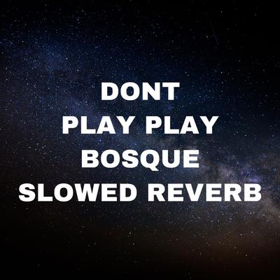 Dont Play Play Bosque Slowed Reverb's cover
