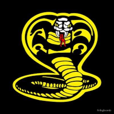 Cobra Kai's cover