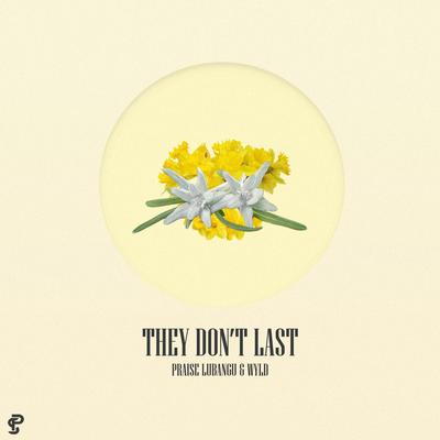 They Don't Last By Praise Lubangu, Wyld's cover