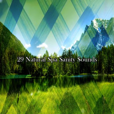 !!!! 29 Natural Spa Sanity Sounds !!!!'s cover