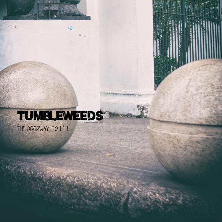 Tumbleweeds's avatar image