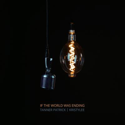If the World Was Ending By Tanner Patrick, KristyLee's cover