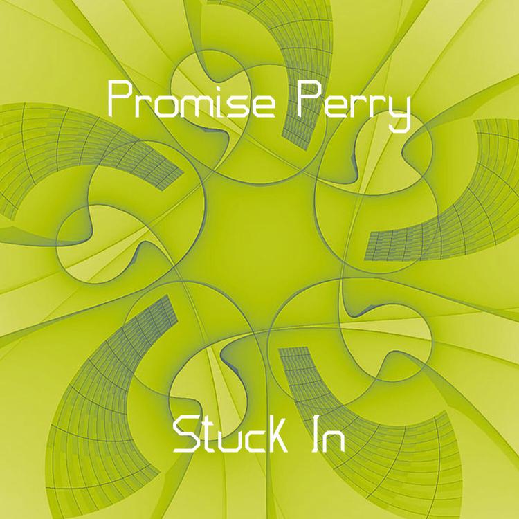 Promise Perry's avatar image