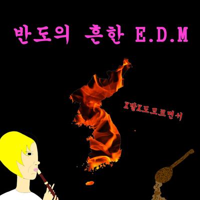 반도의 흔한 E.D.M's cover