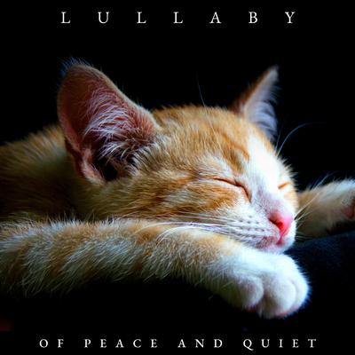 Late Lunch Break By Baby Sleep Music, Sleep Music Library, Relaxation Sleep Meditation's cover