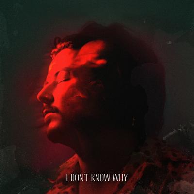 I don't know why's cover