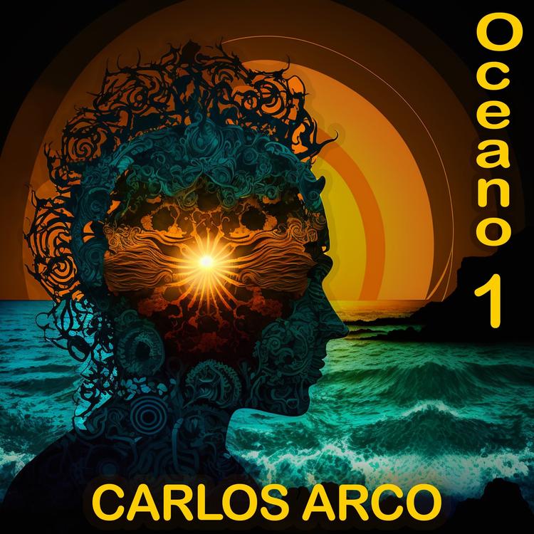 Carlos Arco's avatar image
