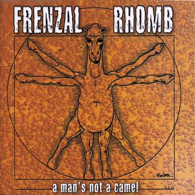 Never Had so Much Fun By Frenzal Rhomb's cover