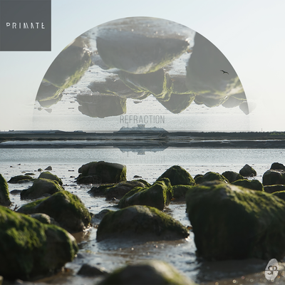 Pretty Paradox (Primate Remix) By Primate, Sukai, AURORA's cover