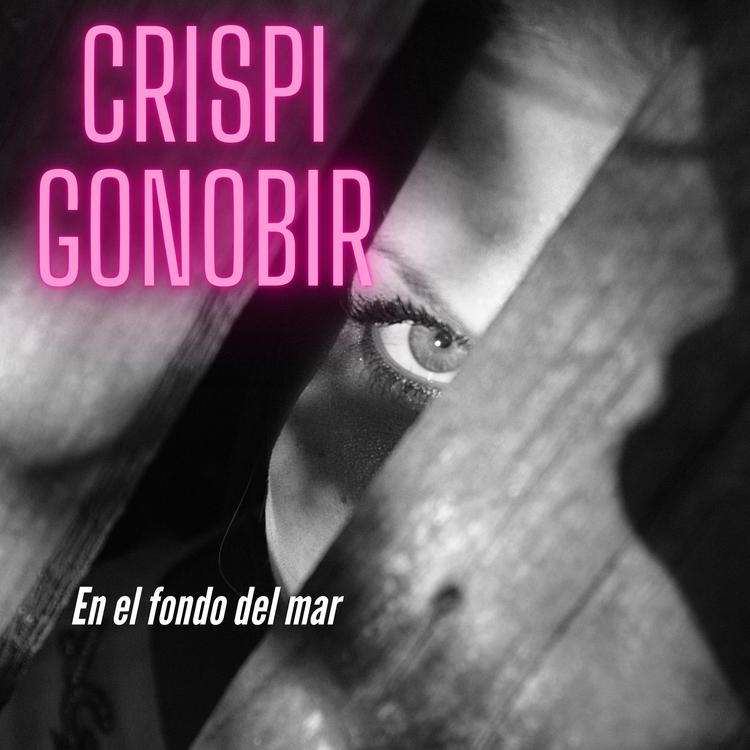 crispi gonobir's avatar image