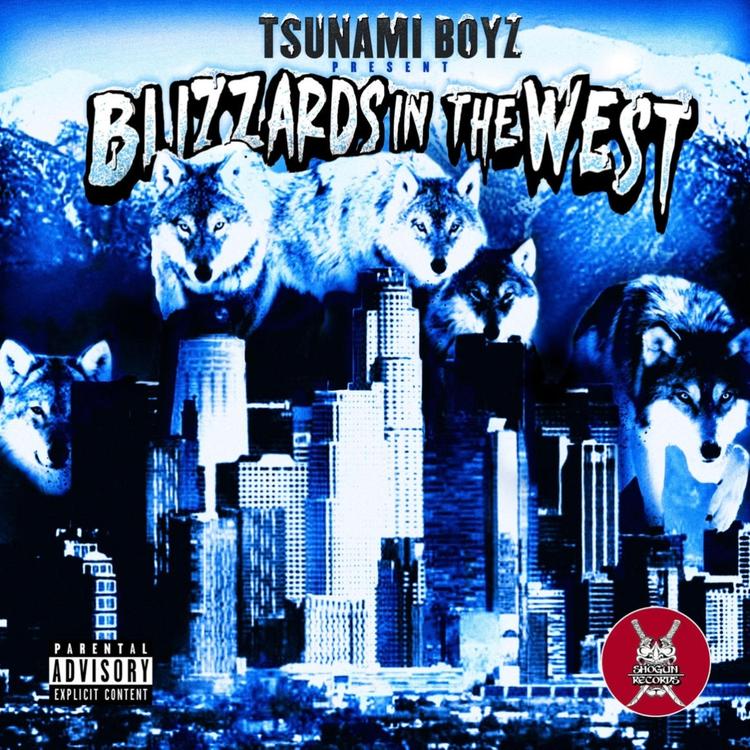 Tsunami Boyz's avatar image