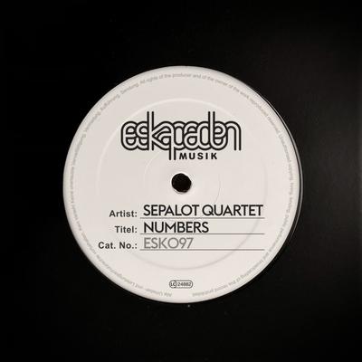 Numbers By Sepalot, Angela Aux, Matthias Lindermayr, Fabian Füss's cover