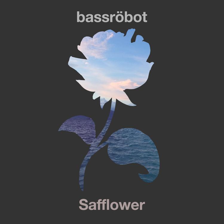 bassröbot's avatar image