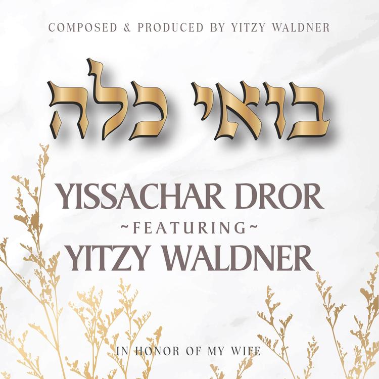 Yissachar Dror's avatar image