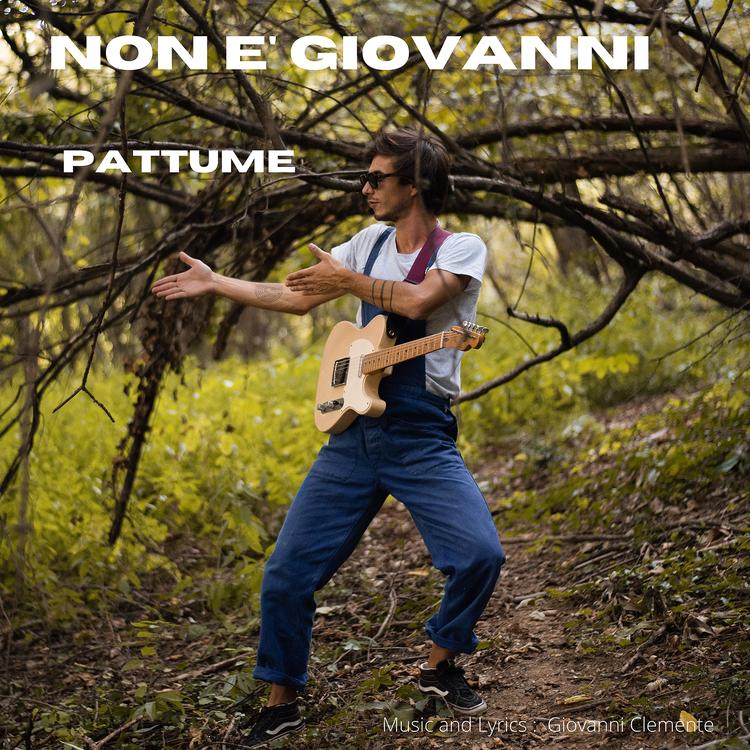 Non è Giovanni's avatar image