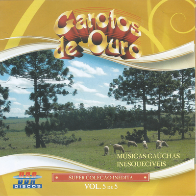 Músicas Gaúchas Inesquecíveis, Vol. 5's cover