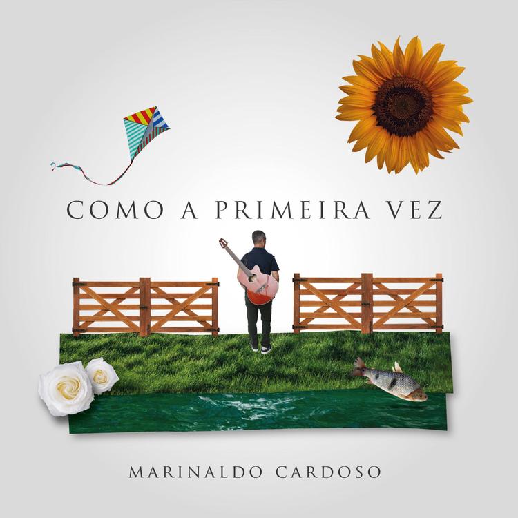 Marinaldo Cardoso's avatar image