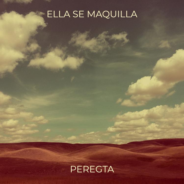 PEREGTA's avatar image